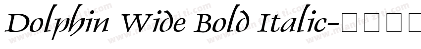 Dolphin Wide Bold Italic字体转换